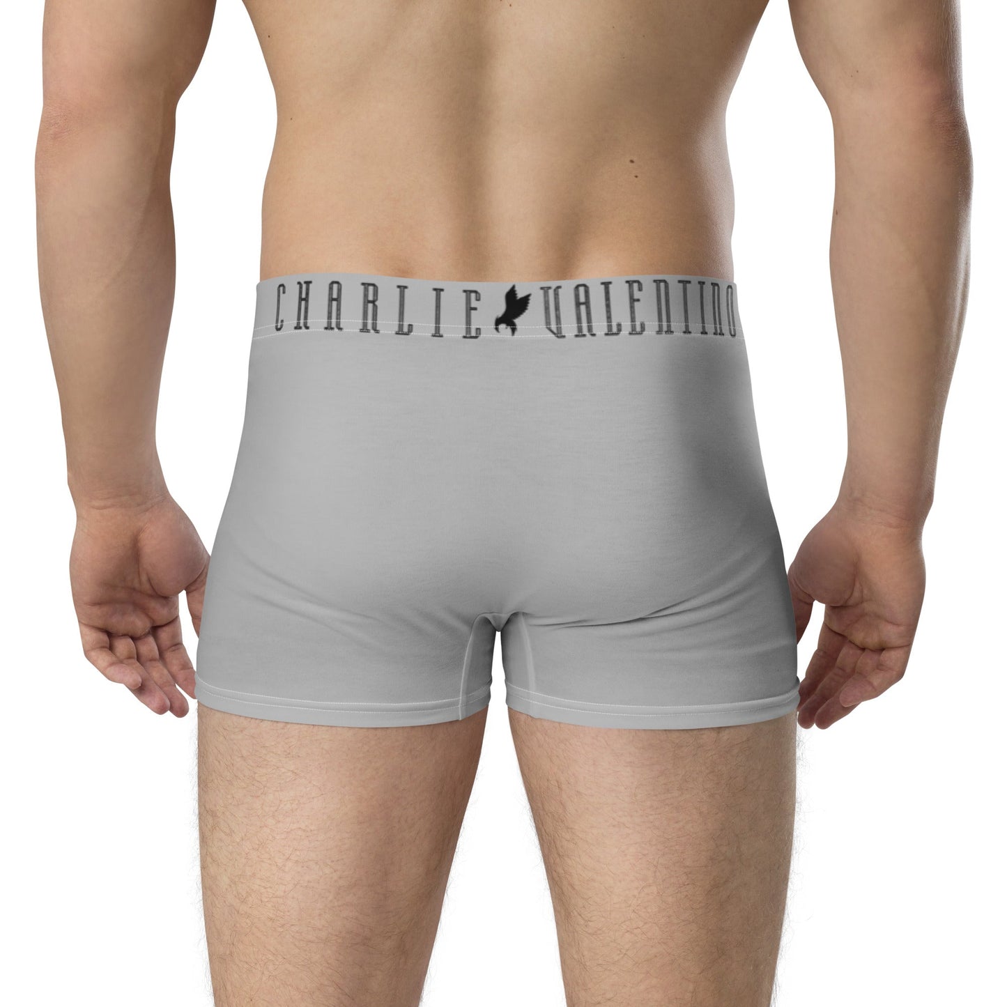 Boxer Briefs (Copy)