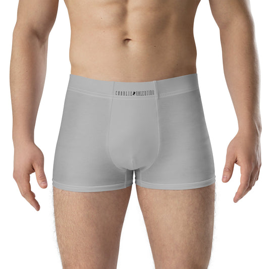 Boxer Briefs (Copy)